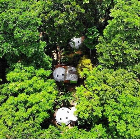 Faith Glamping Dome Costa Rica Hotell Manzanillo  Eksteriør bilde