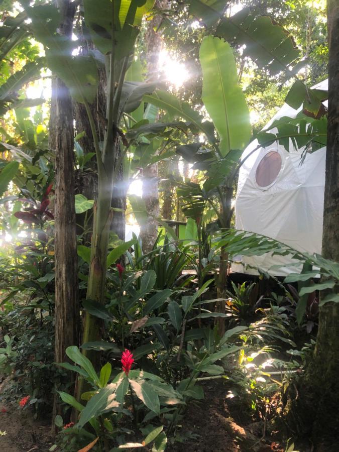 Faith Glamping Dome Costa Rica Hotell Manzanillo  Eksteriør bilde