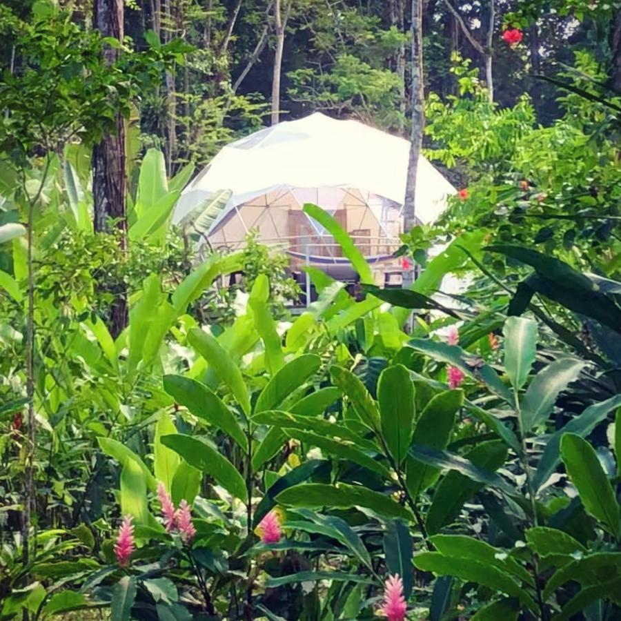Faith Glamping Dome Costa Rica Hotell Manzanillo  Eksteriør bilde