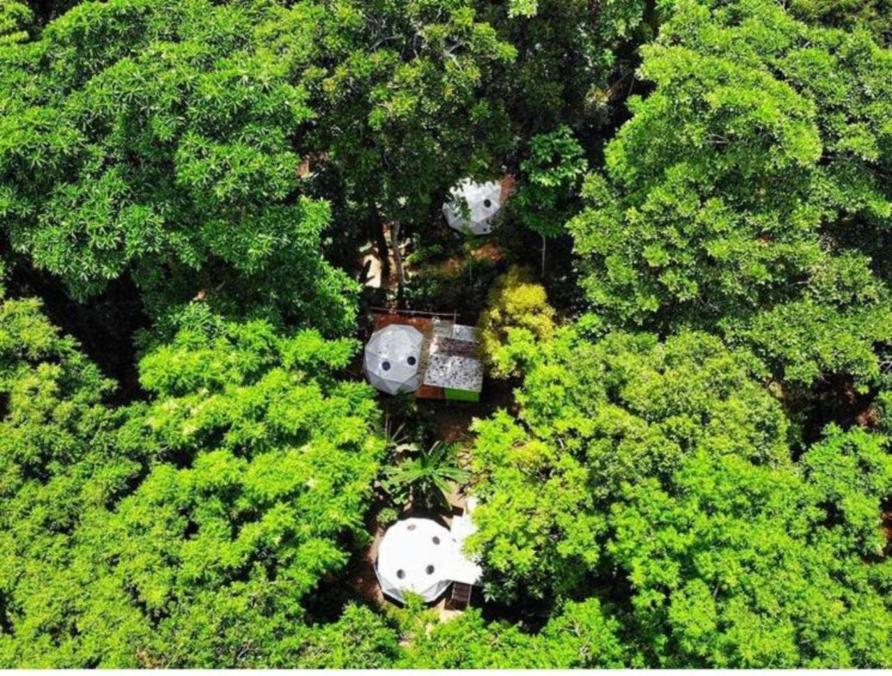 Faith Glamping Dome Costa Rica Hotell Manzanillo  Eksteriør bilde