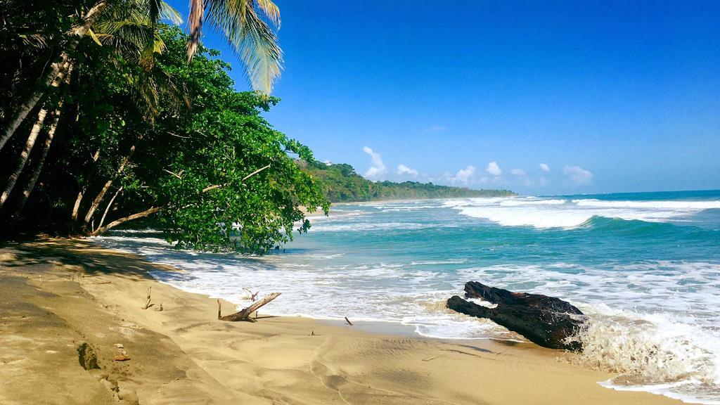 Faith Glamping Dome Costa Rica Hotell Manzanillo  Eksteriør bilde